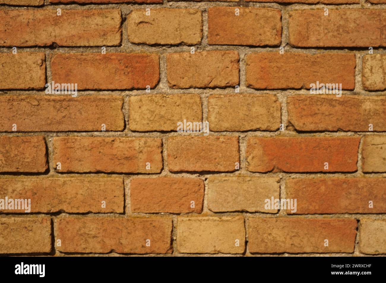 Old red brick wall background in warm sunlight. Stock Photo