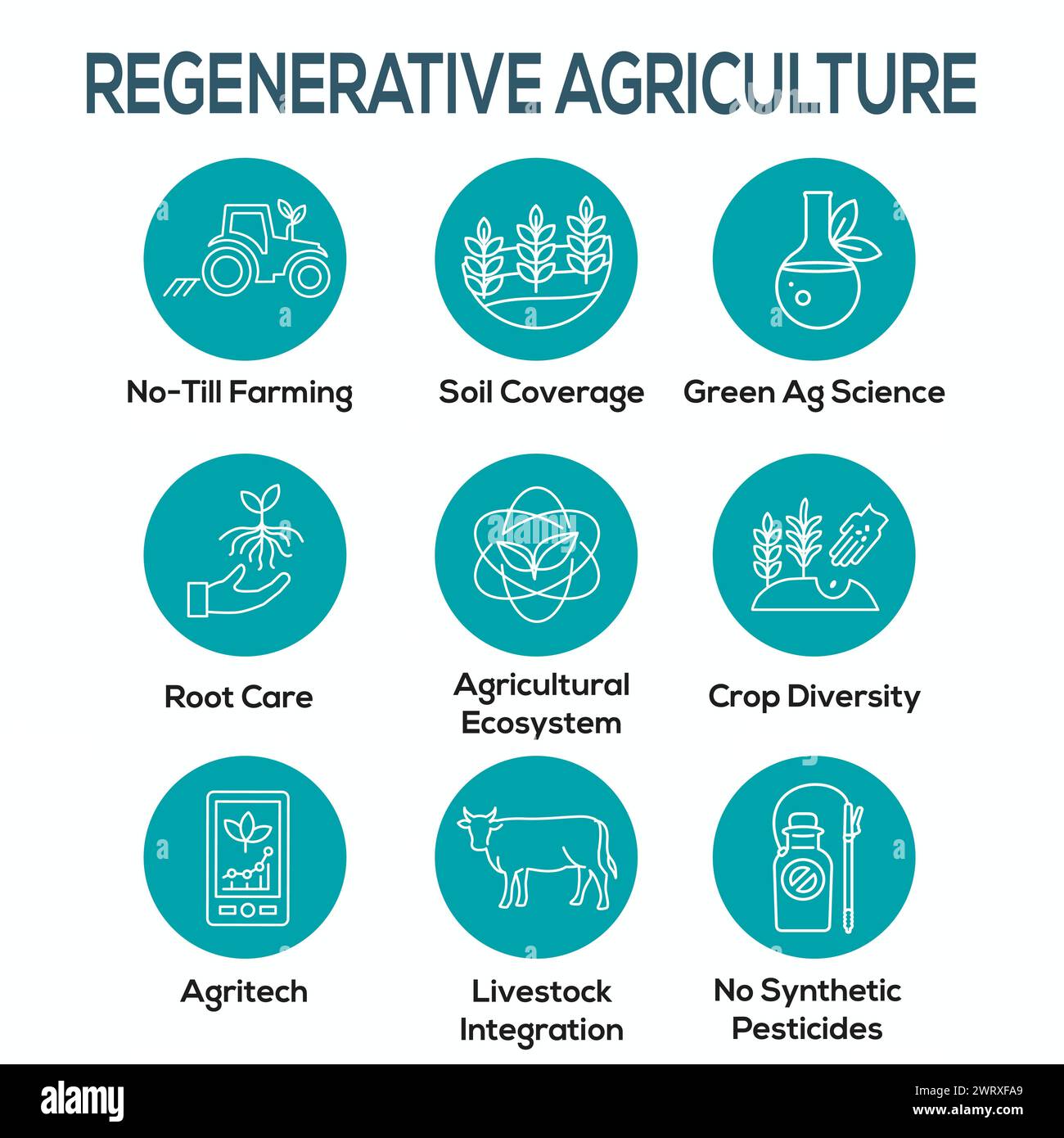 Sustainable Farming Icon Set with Maximizing Soil Coverage and Integrate Livestock-Examples for Regenerative Agriculture Icon Set Stock Vector