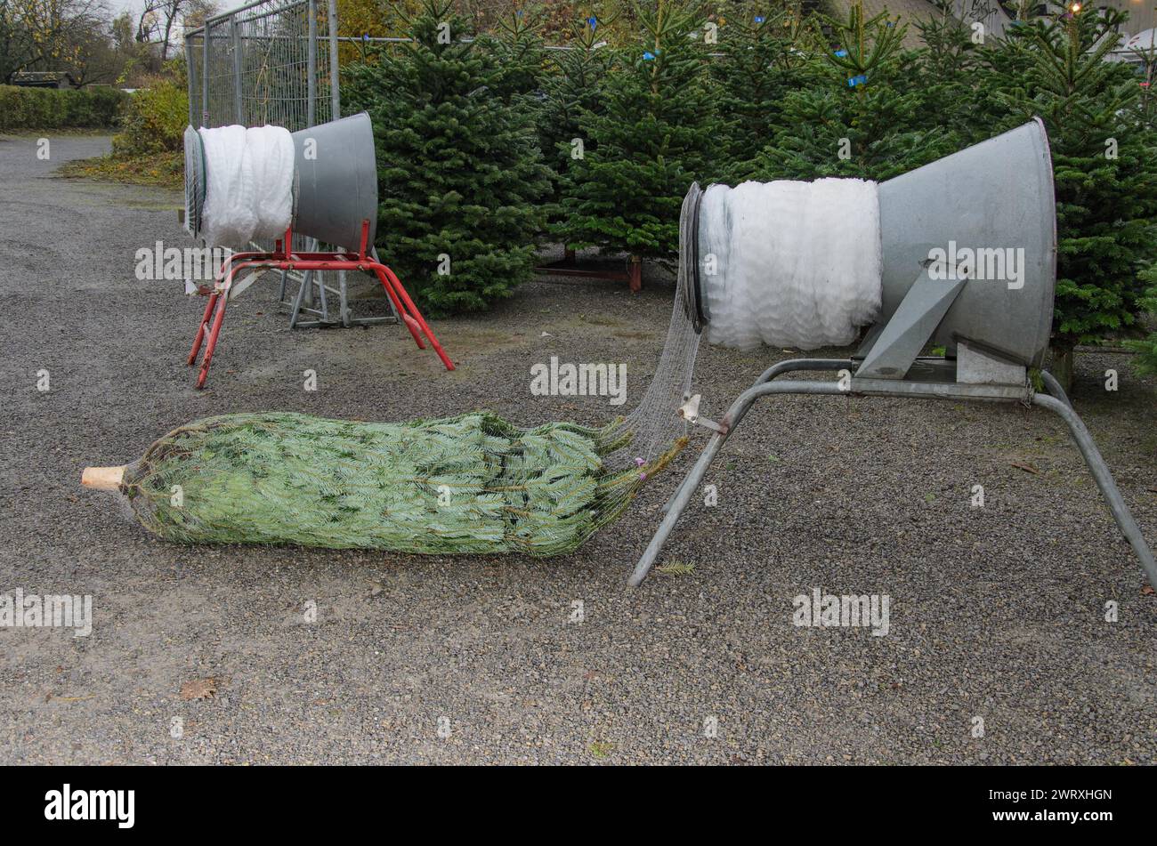 The Christmas tree wrapping machines Stock Photo - Alamy