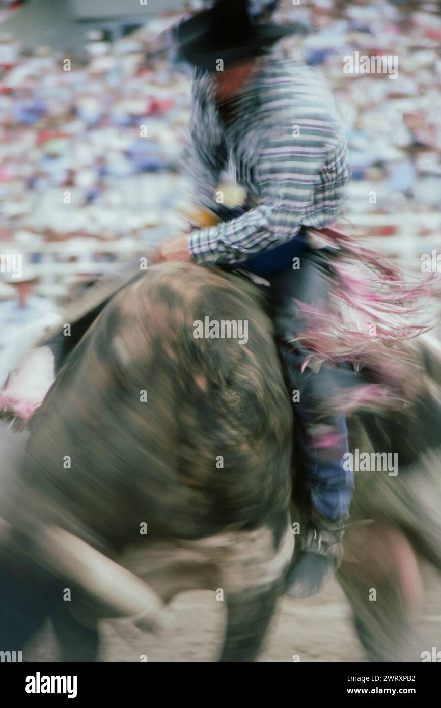 Vintage bull rider rodeo hi-res stock photography and images - Alamy