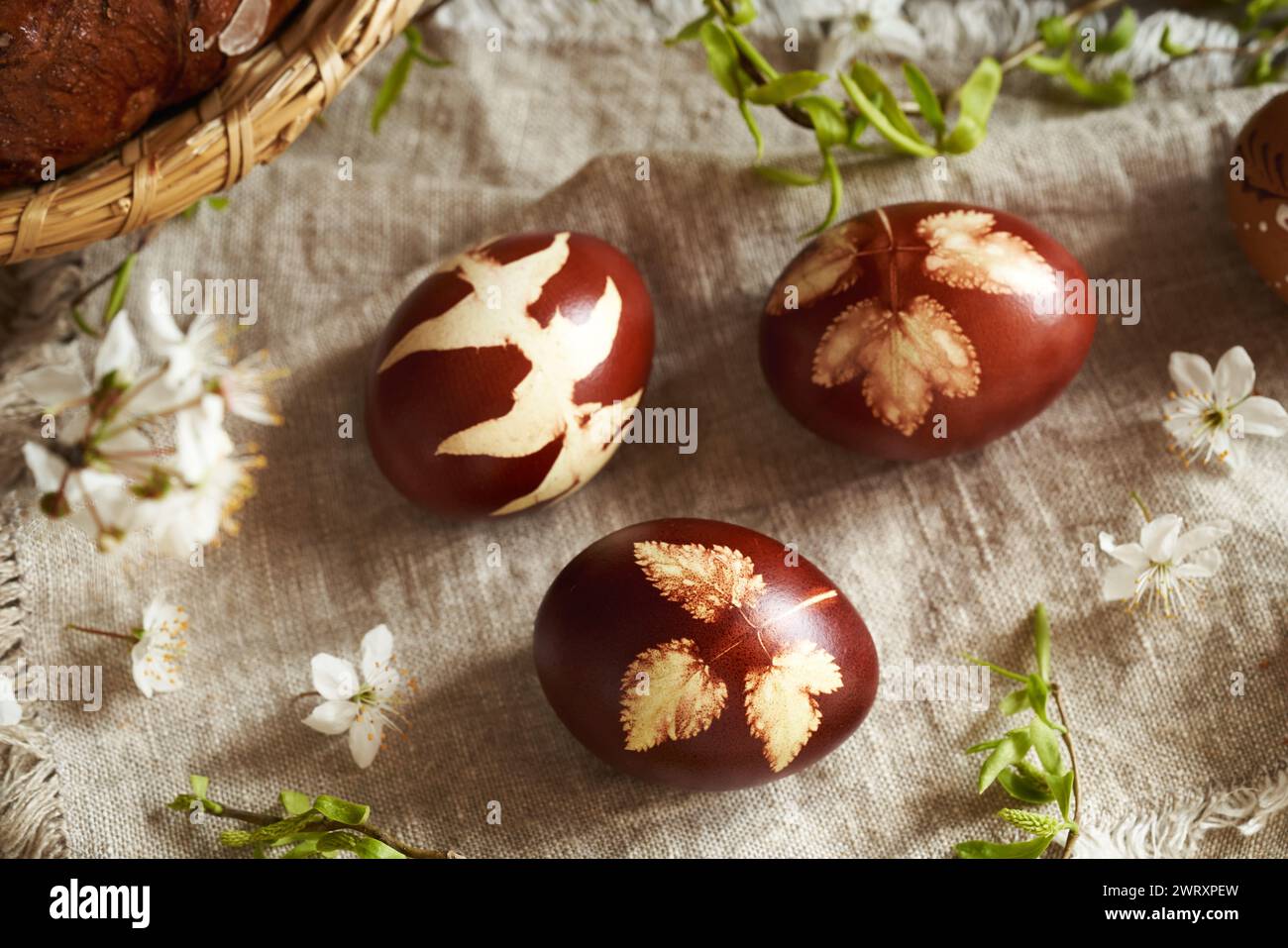 Three brown Easter egg dyed with onion peels with a pattern of fresh leaves on a table Stock Photo