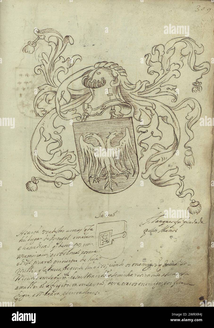 Armour and Two Eagles Coat of Arms Stock Photo Alamy