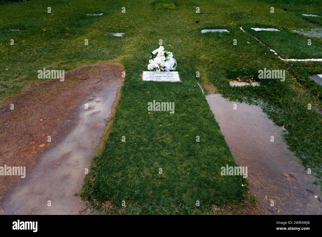 Medellin, Colombia - January 11, 2023: Grave of Griselda Blanco surrounded by water Stock Photo