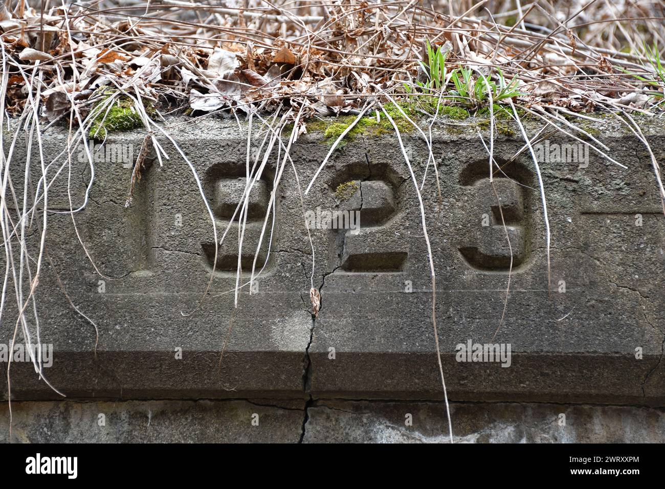 The year 1923 hi-res stock photography and images - Alamy