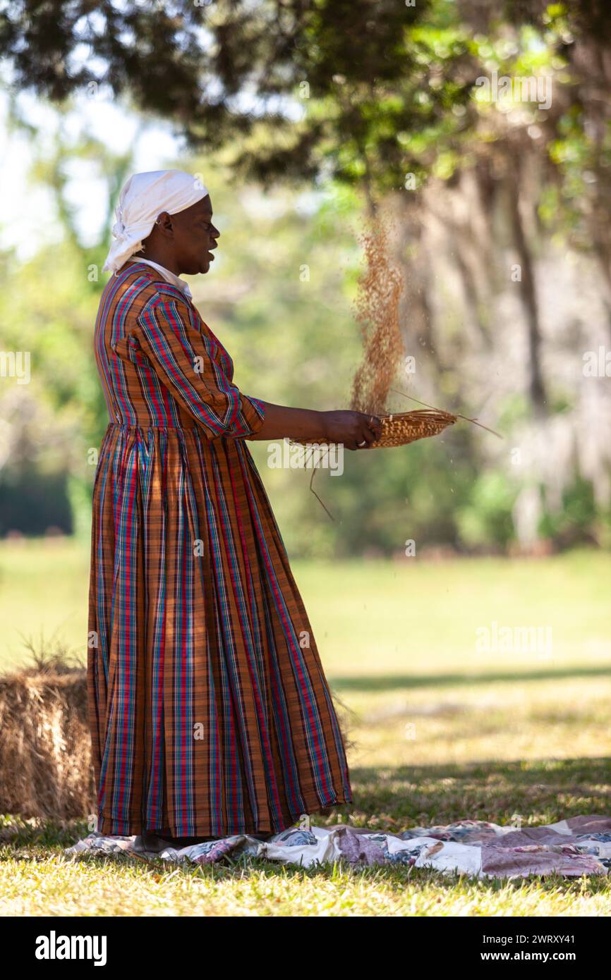 Sharon Cooper-Murray, a Gullah historic actor demonstrates how enslaved people winnowed Carolina Gold rice to separate the grain from the chaff using a Fanner baskets on the Charles Pinckney Snee Farm plantation at the Charles Pinckney National Historic Site in Mt Pleasant, South Carolina. Pinckney, a Founding Father of the United States, once owned 58 enslaved African-Americans at the plantation. Stock Photo