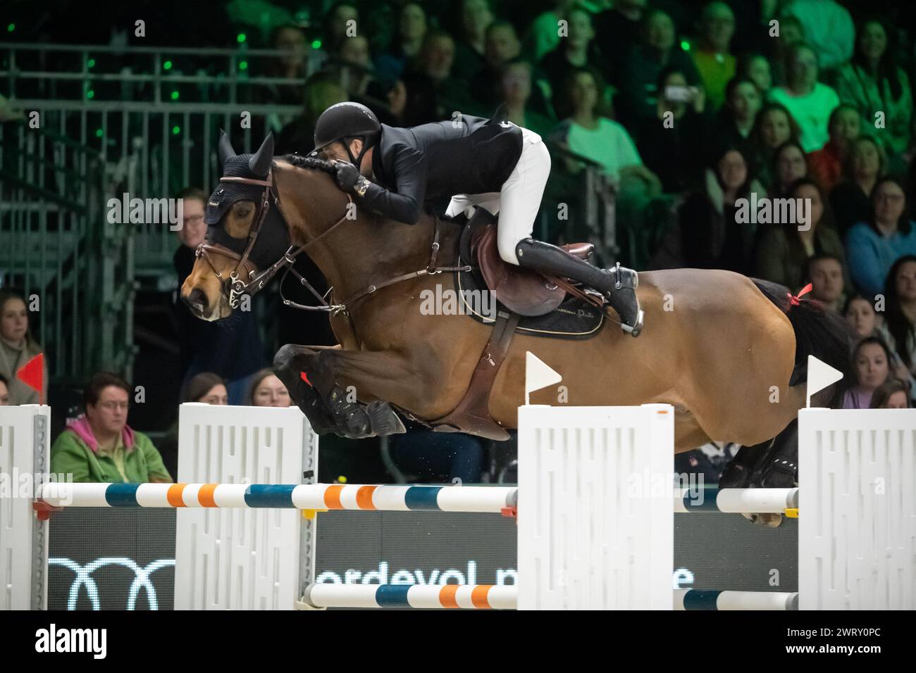 Denbosch, Netherlands - March 10, 2024. Maikel Van Der Vleuten and riding Elwikke compete in a 1.45 Speed Class during the 2024 Rolex Dutch Masters. Stock Photo