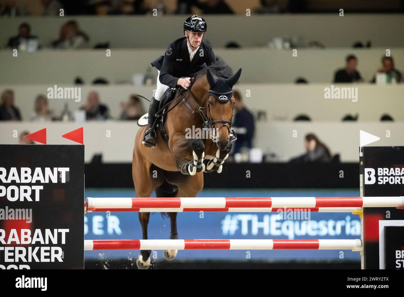 Denbosch, Netherlands - March 10, 2024. Marcus Ehning of Germany and riding Baloubets Rose Dree Boeken compete in a 1.45 Speed Class during the 2024 R Stock Photo
