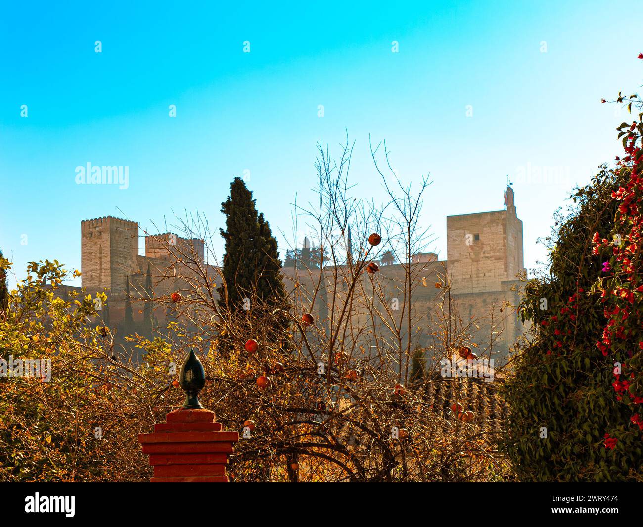 La Alhambra (Granada) and pomegranate fruit Stock Photo
