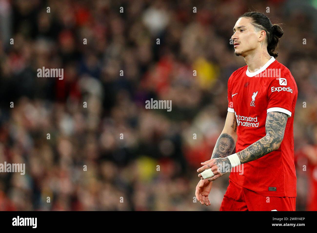 Liverpool, UK. 14th Mar, 2024. Darwin Nunez of Liverpool looks on. UEFA Europa League, round of 16, 2nd leg match, Liverpool v Sparta Prague at Anfield in Liverpool on Thursday 14th March 2024. this image may only be used for Editorial purposes. Editorial use only. pic by Chris Stading/Andrew Orchard sports photography/Alamy Live news Credit: Andrew Orchard sports photography/Alamy Live News Stock Photo