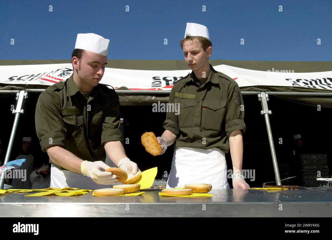 the bundesheer,the federal army of austria in several acts the ...