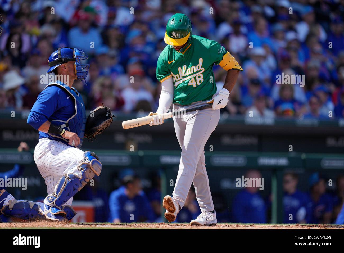Oakland Athletics' Darell Hernaiz (48) walks back to the dugout after