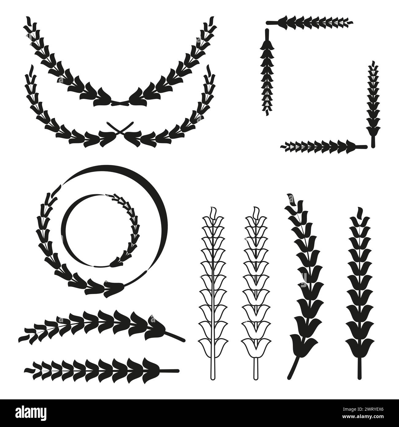Set of black vector laurel wreaths and branches. Vector illustration ...