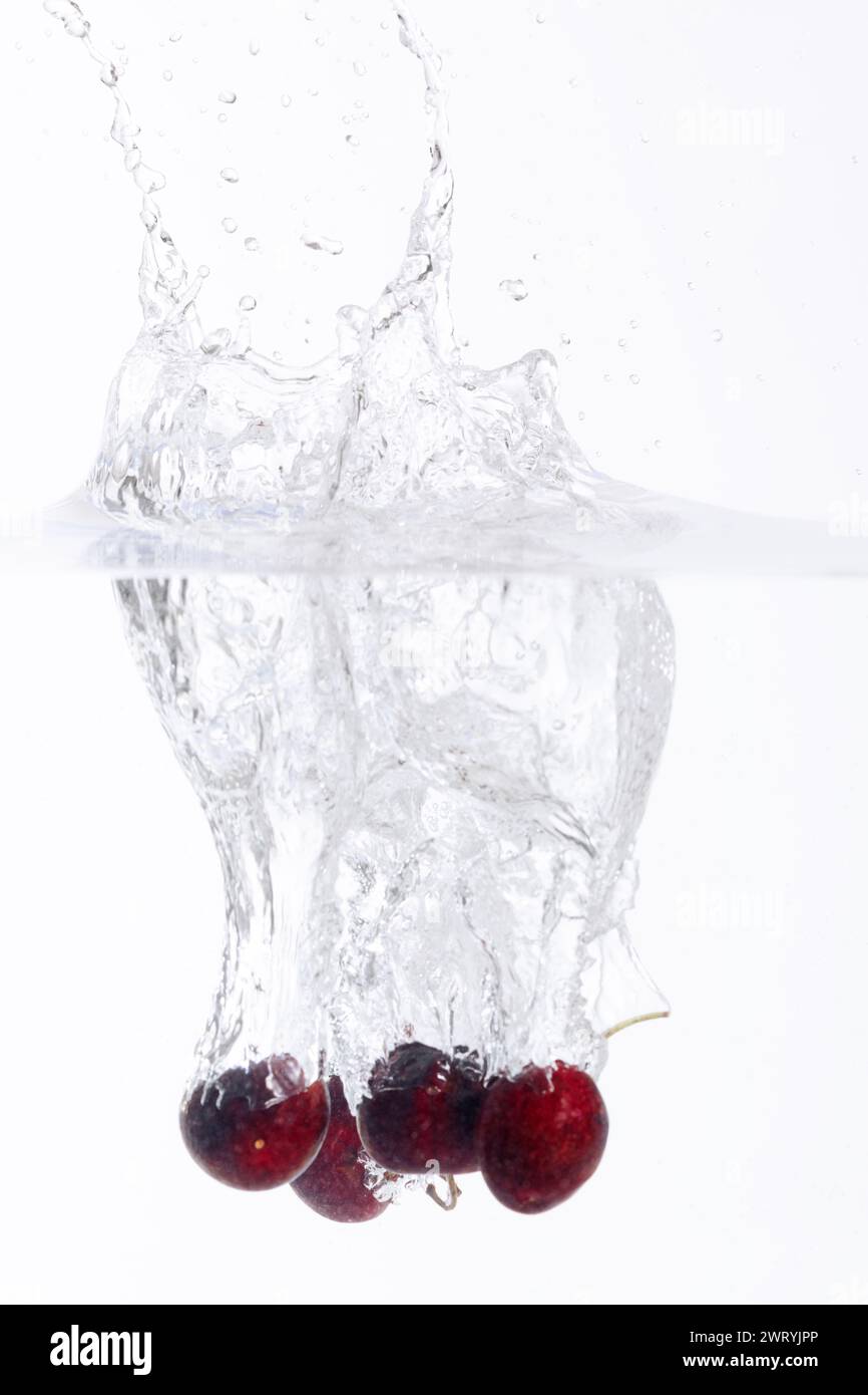 the plump cherries falling into the water Stock Photo