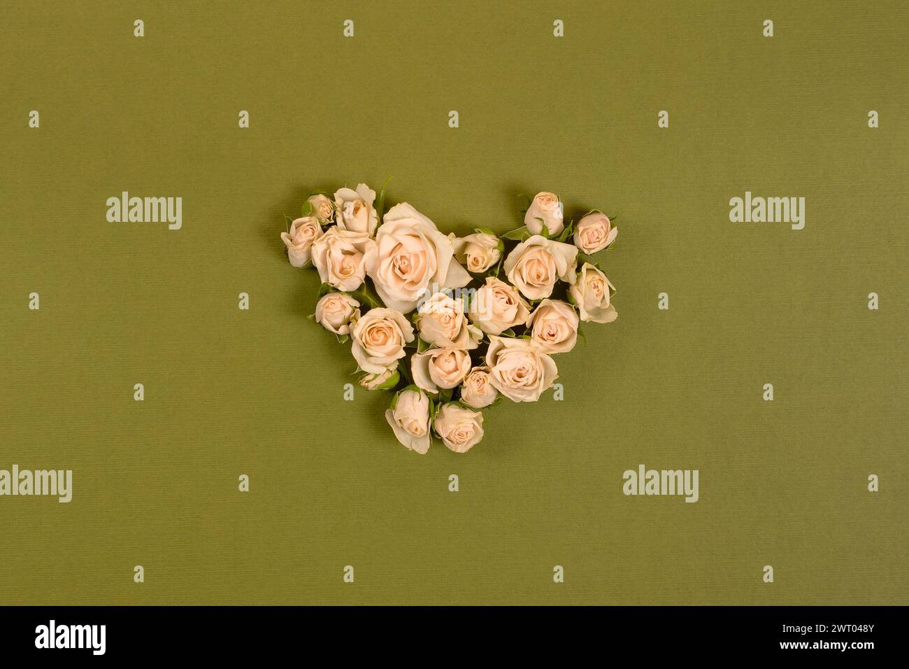 The heart of roses is a flat layout. Top view of the composition of ...