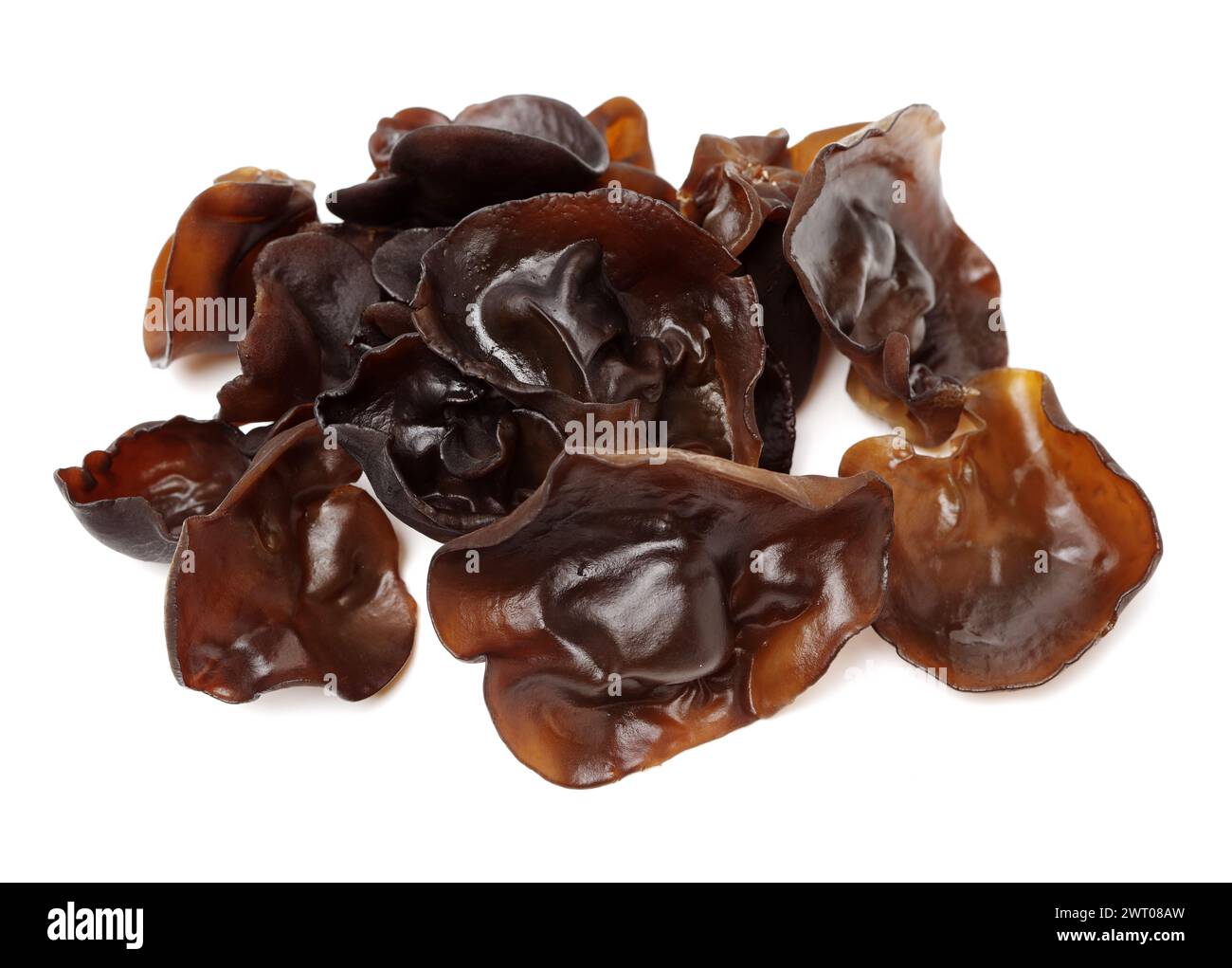 black fungus on white background Stock Photo - Alamy