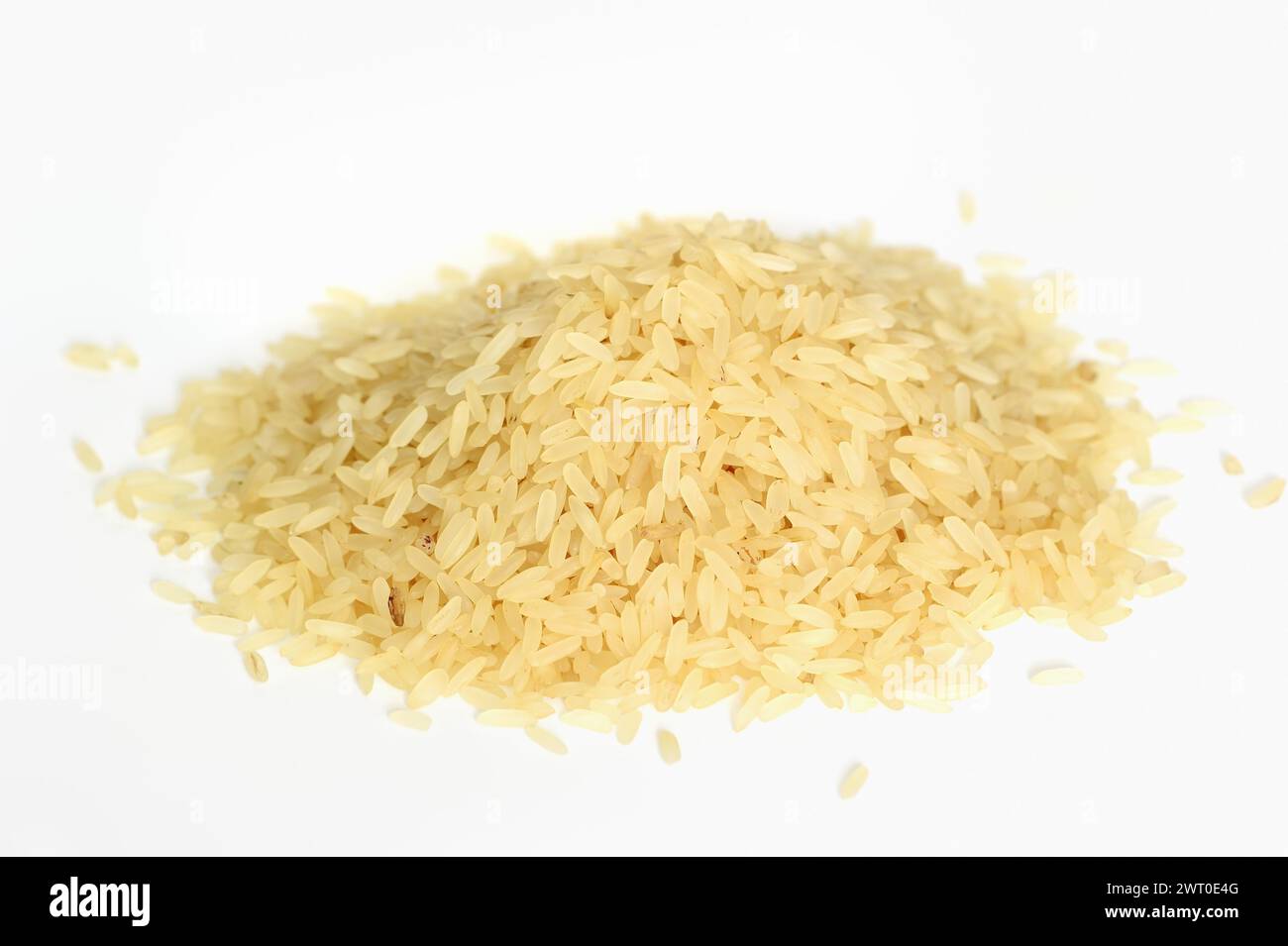 Rice (Oryza sativa), rice grains Stock Photo - Alamy