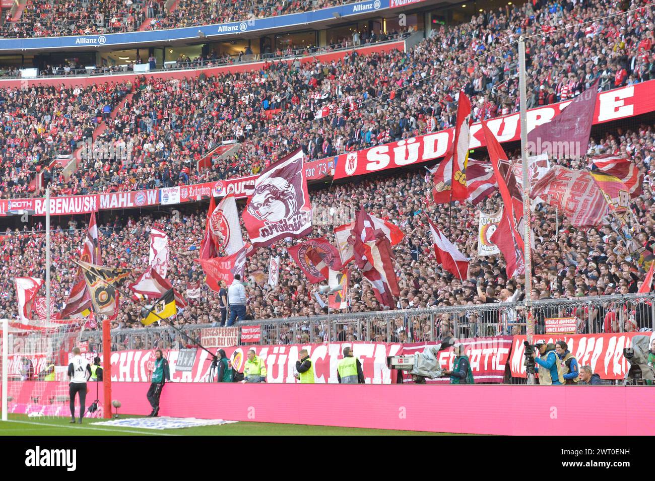 MUNICH, GERMANY - MARCH 9: Fans of FC Bayer Muenchen during the Bundesliga match between FC Bayern Muenchen and 1. FSV Mainz 05 at Allianz Arena on March 9, 2024 in Munich, Germany.240309 SEPA 24 039 - 20240310 PD0792 Stock Photo