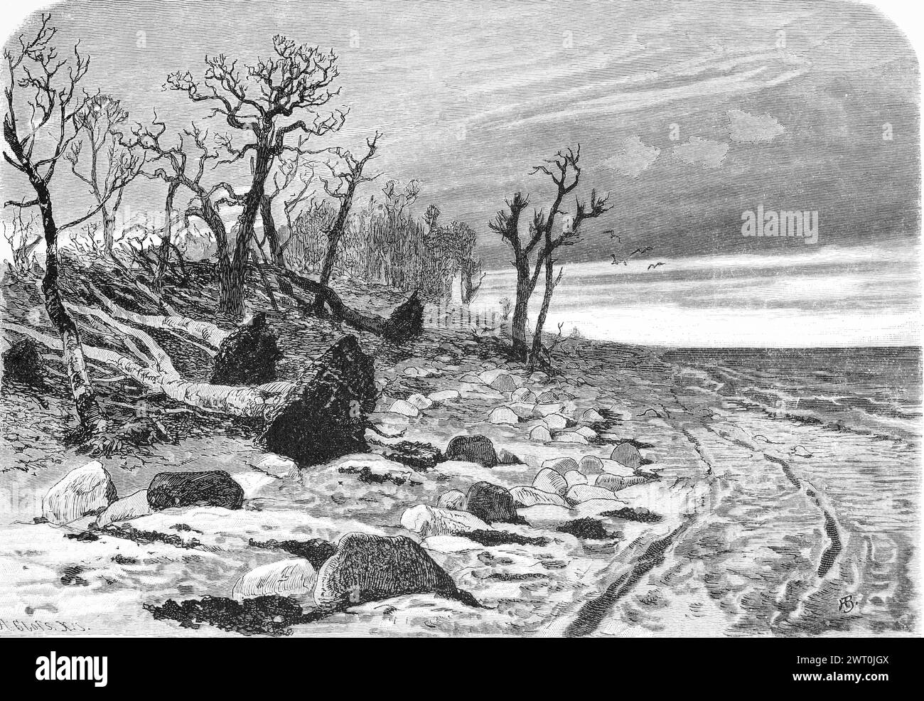 Destroyed beech forest after the storm surge, Baltic Sea, Mecklenburg-Western Pomerania, Germany, beach, tree root, stones, nature, historical Stock Photo