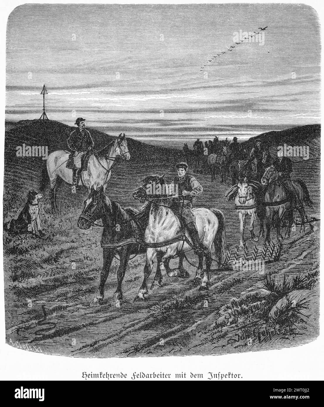 Returning field labourers with the inspector, Mecklenburg-Western Pomerania, Germany, after work, rider, horses, harrow, overseer, historical Stock Photo