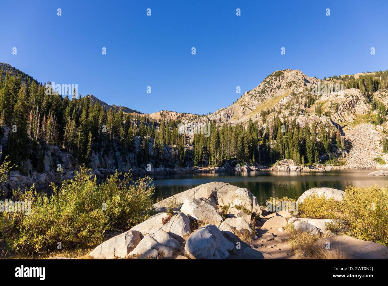 Lake Martha's Waters Embraced by Forested Slopes and Rocky Shores Stock Photo