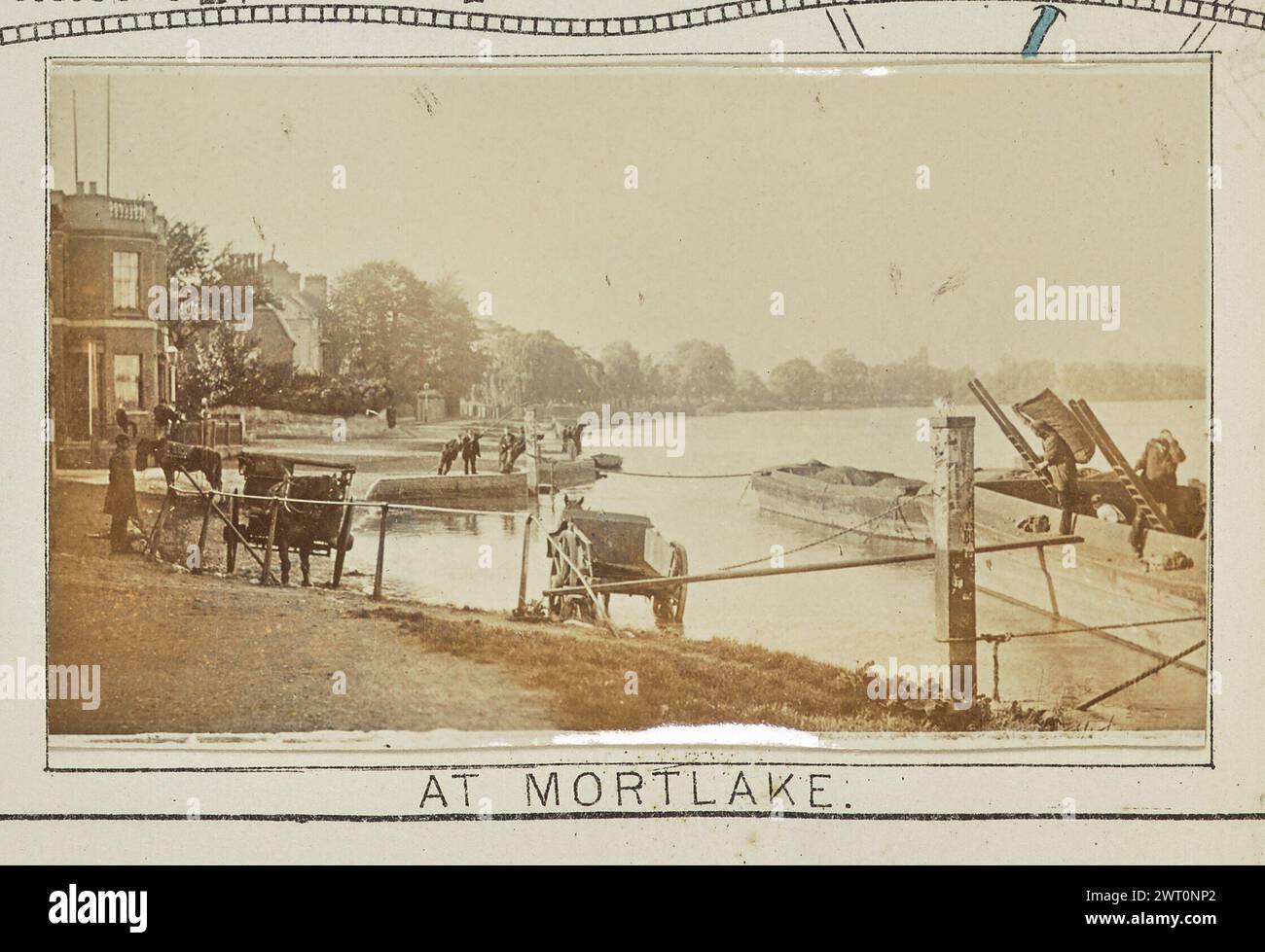 Mortlake horse hi-res stock photography and images - Alamy