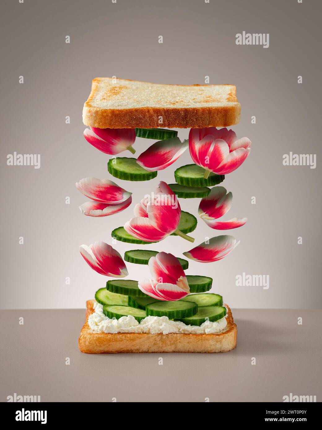Levitating Sandwich Ingredients with Tulips and Cucumber Stock Photo