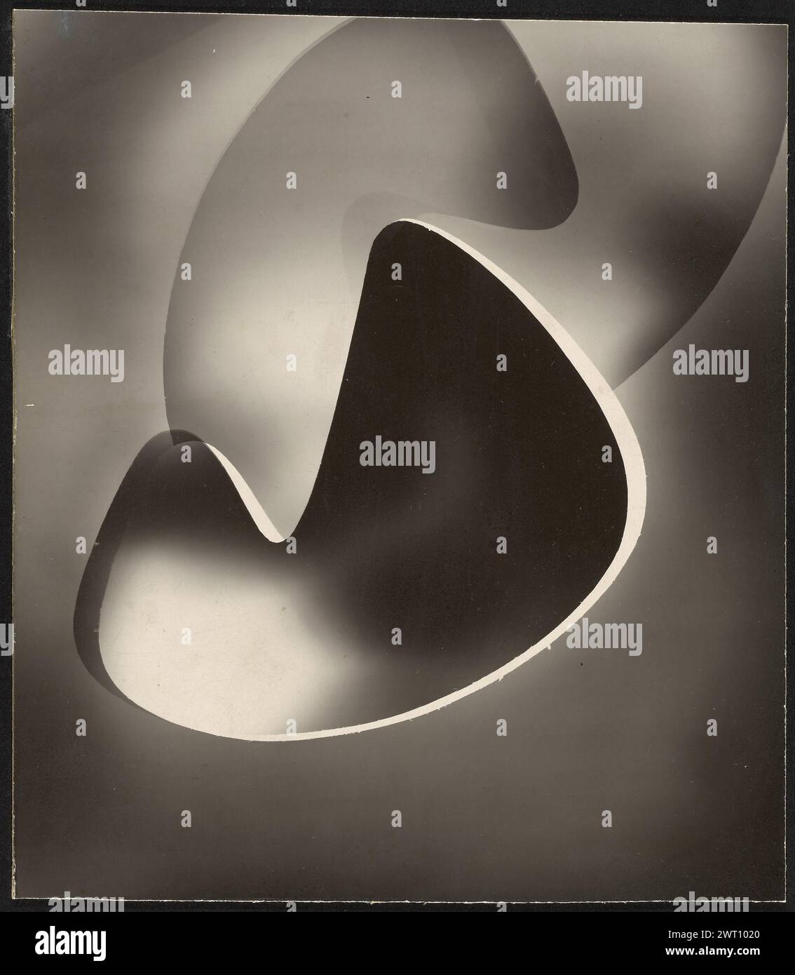 Moholy Photogram Shell Photogram. Attributed to László Moholy-Nagy, photographer (American ...