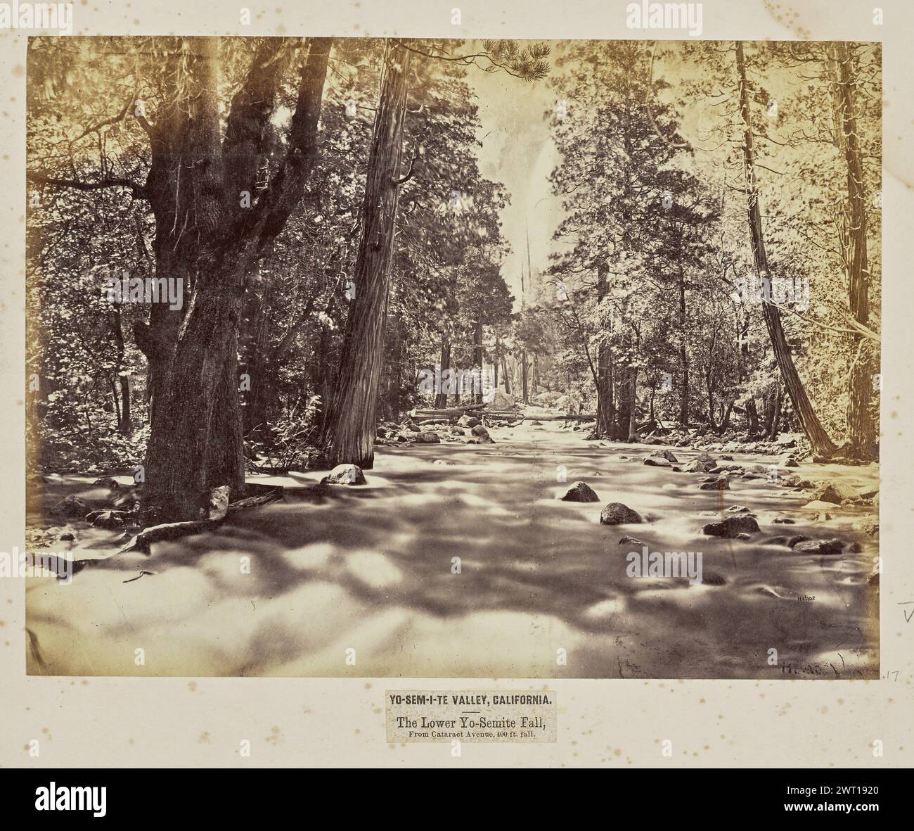 Yo-Sem-i-te Valley, California. The Lower Yo-Semite Fall, from Cataract Avenue, 400 Feet Fall. Eadweard J. Muybridge, photographer (American, born England, 1830 - 1904) negative 1867, print later View of a stream lined with tall trees, looking toward a waterfall in the background. This view is seen from a vantage point in the middle of the stream, possibly from a bridge. A tree trunk bridge spanning across the stream can also be seen further away toward the background. (Recto, mount) center left, next to image, in pencil: 'B&R [sideways] / 4036 [sideways]'; Center, below image, printed on labe Stock Photo