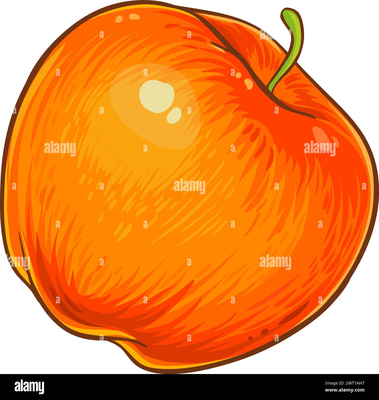 Apple Fruit Colored Detailed Illustration Stock Vector Image & Art - Alamy