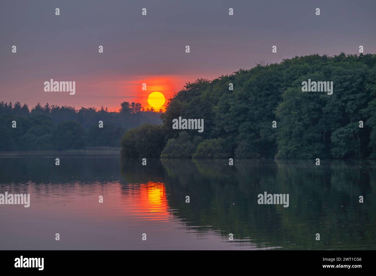 lake Bistensee in the evening sun, Germany, Schleswig-Holstein, Huettener Berge Stock Photo