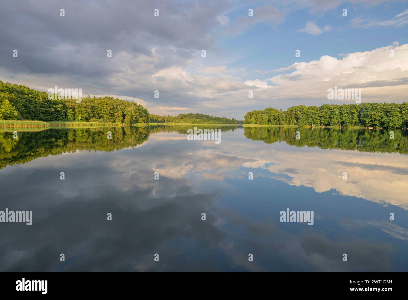 lake Priestersee, Germany, Mecklenburg-Western Pomerania ...