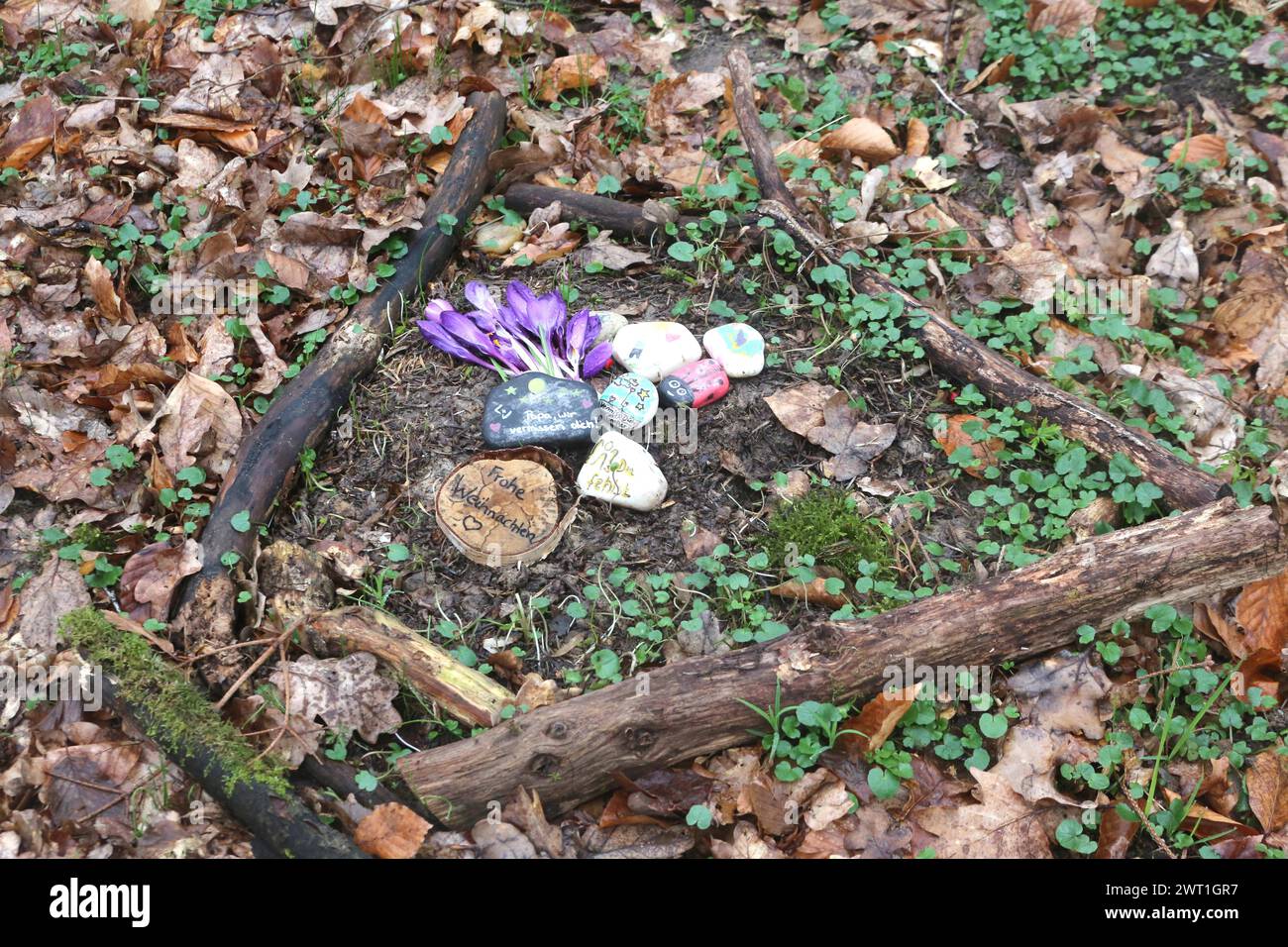 Blick am Donnerstag 14.03.2024 auf eine anonyme Andachtsstelle im Ruheforst Abtshagen Landkreis Vorpommern Rügen. Der Ruheforst befindet sich in einem Eichen- und Buchenwaldgebiet. In ihm können einzelne Personen, Familien oder andere im Leben verbundene Menschen beigesetzt werden. Dazu stehen neben einem Andachtsplatz verschiedene Ruhe  Biotope zur Verfügung. Sie benötigen keinerlei Pflege, können bereits zu Lebzeiten ausgewählt werden und sind später wichtige Bezugspunkte für die Angehörigen. In Deutschland lassen sich immer mehr Menschen anonym bestatten. Letzte Ruhestätte *** View on Thurs Stock Photo