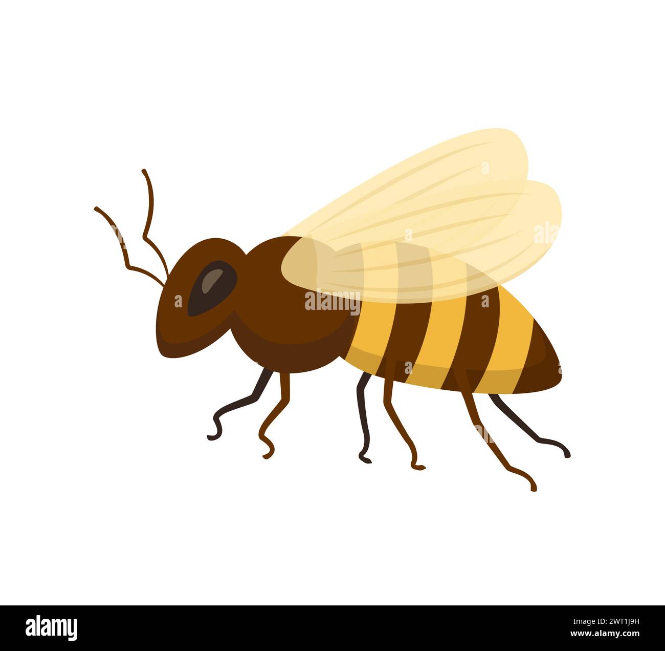 Bee icon isolated on white background. Honey flying bee. Insect. Vector ...