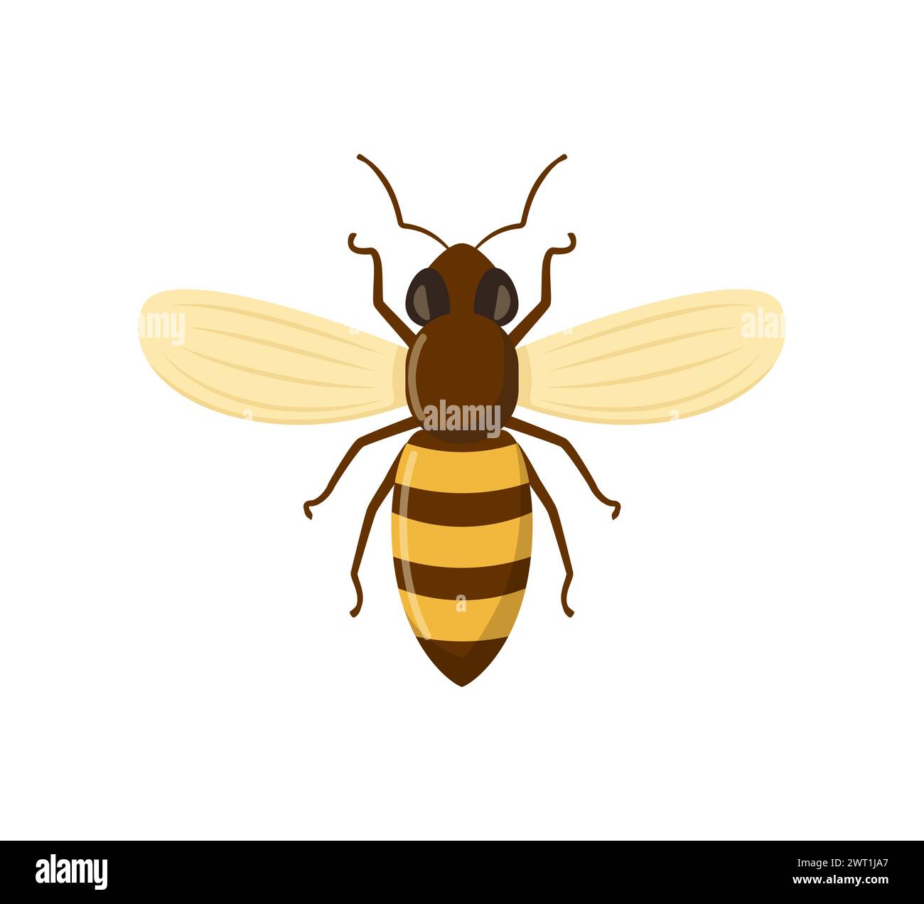 Bee icon isolated on white background. Honey flying bee. Insect. Vector ...