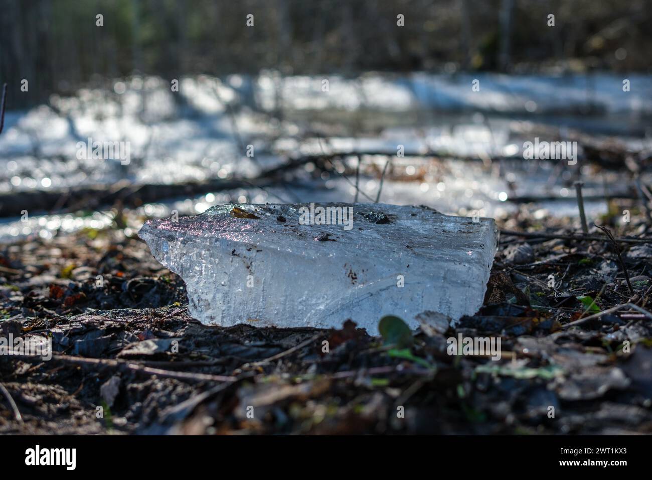 Amatas Dabas Taka beckons adventurers to wander its riverside trails