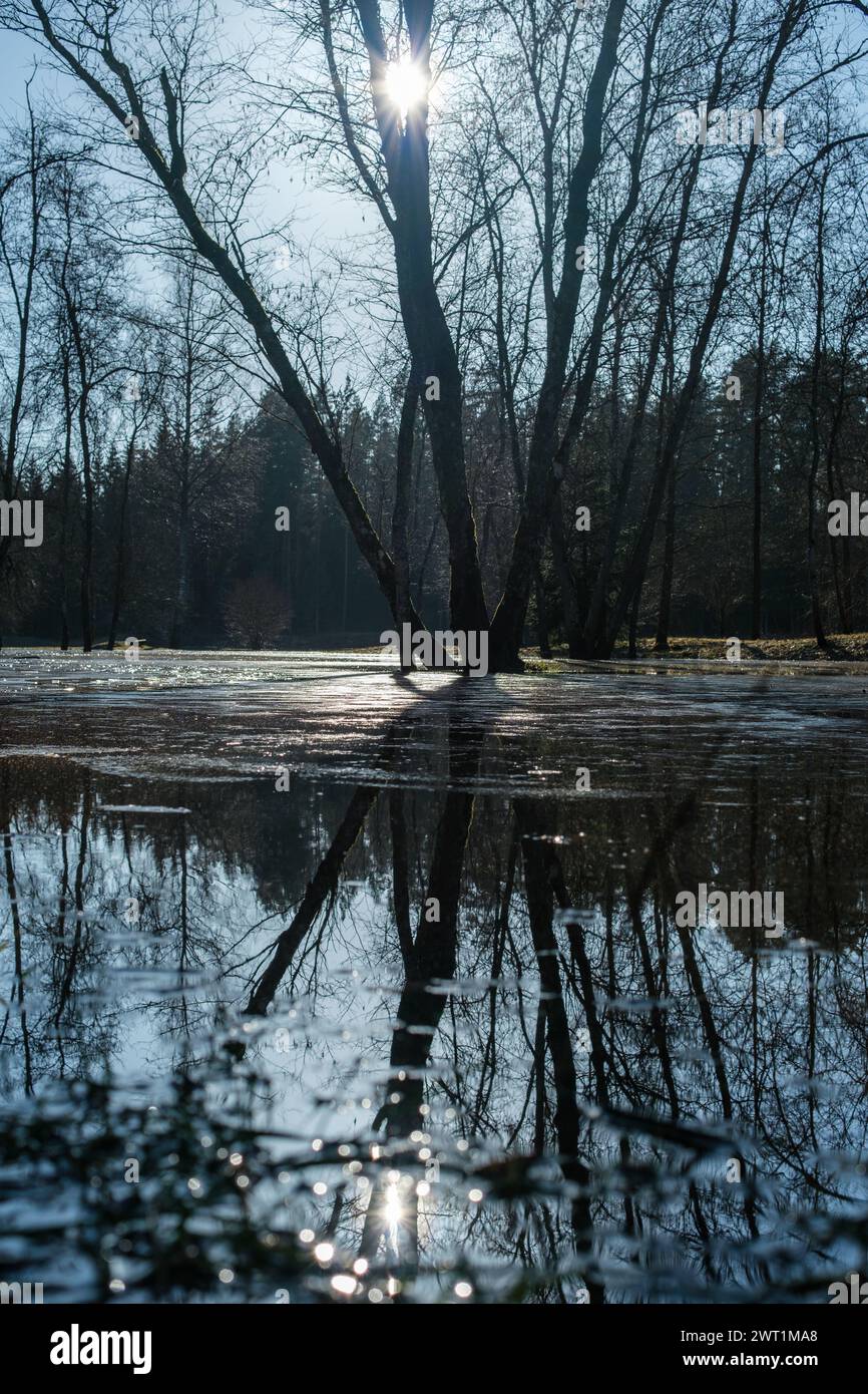 The peaceful tranquility of camping in Cesis is shattered as the Gauja River's torrential overflow engulfs the area, leaving behind destruction and ch Stock Photo