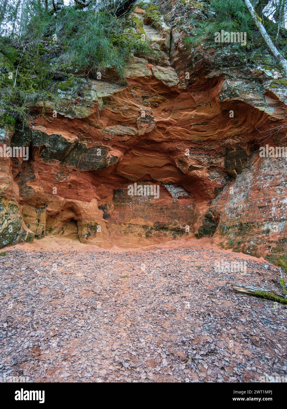 The red cliffs of Cesis offer a glimpse into Latvia's ancient past, their weathered faces telling the story of millions of years of geological evoluti Stock Photo