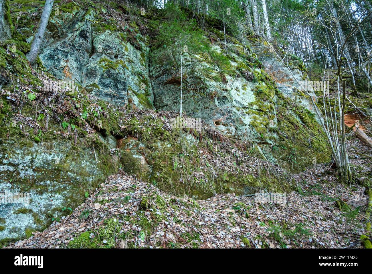 The red cliffs of Cesis are a testament to the power and beauty of nature, their rugged slopes and jagged peaks standing as a testament to the earth's Stock Photo