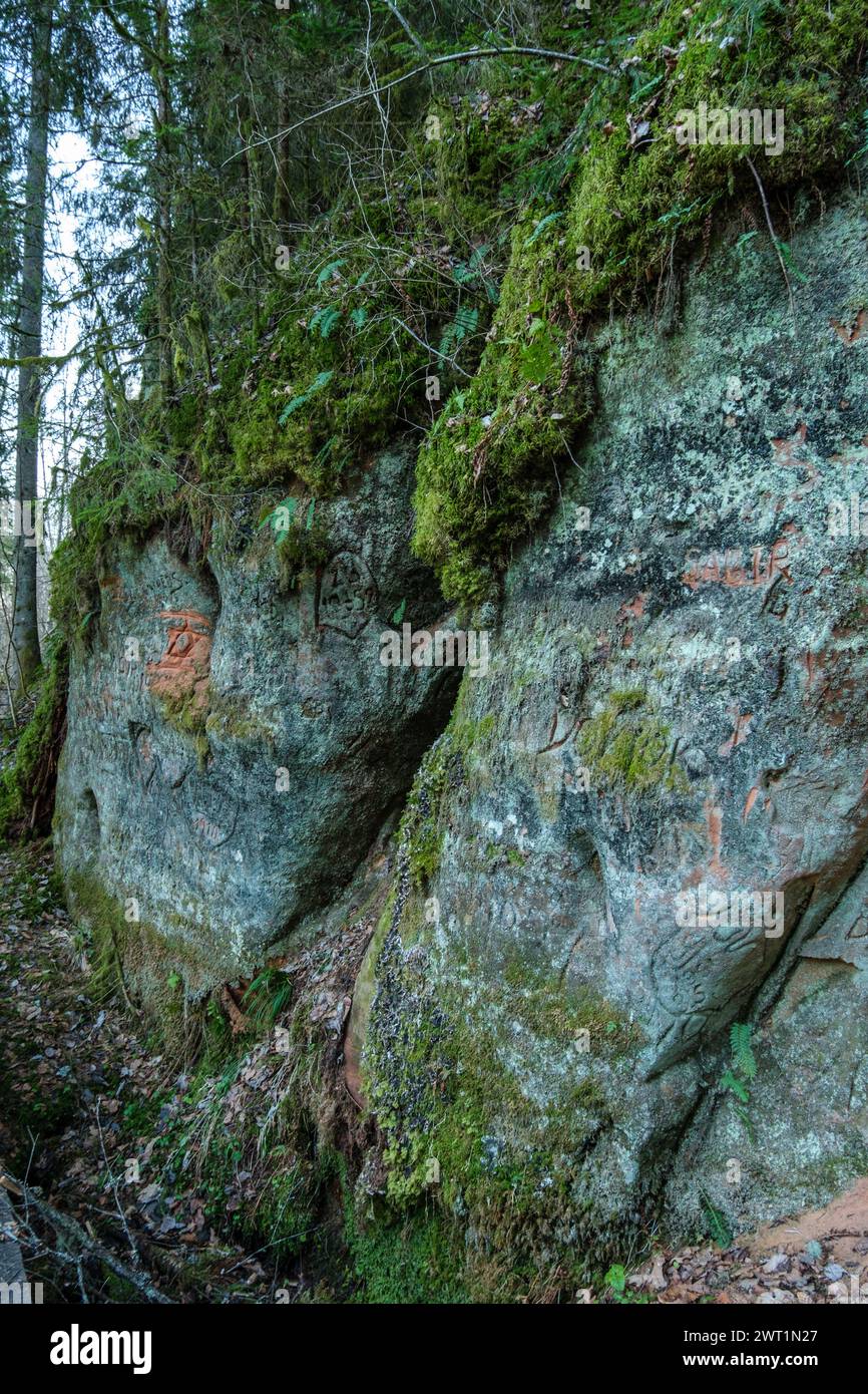 The red cliffs of Cesis are a haven for wildlife, providing a sanctuary for birds, mammals, and other creatures that call Latvia home Stock Photo