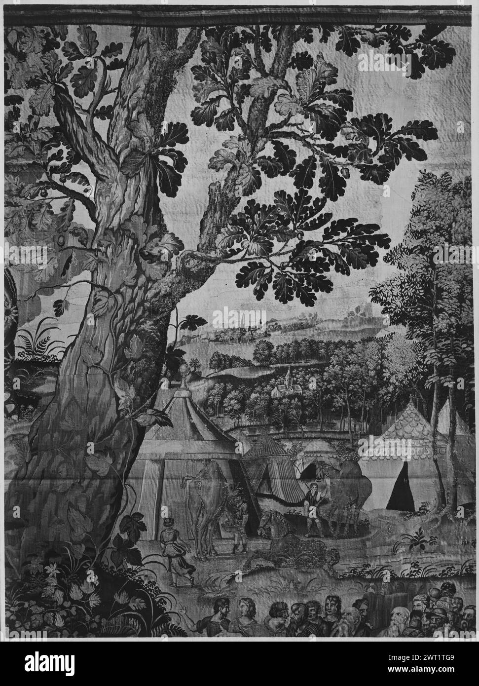 417 8 31 8 cm hires stock photography and images Alamy