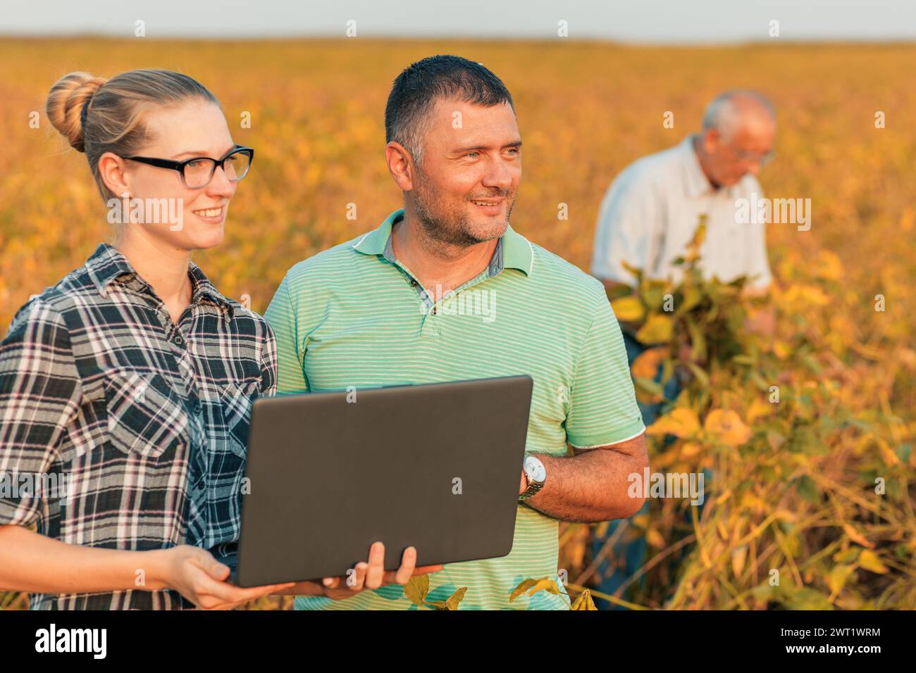 Group of farmers with laptop standing in a field examining soybean crop ...