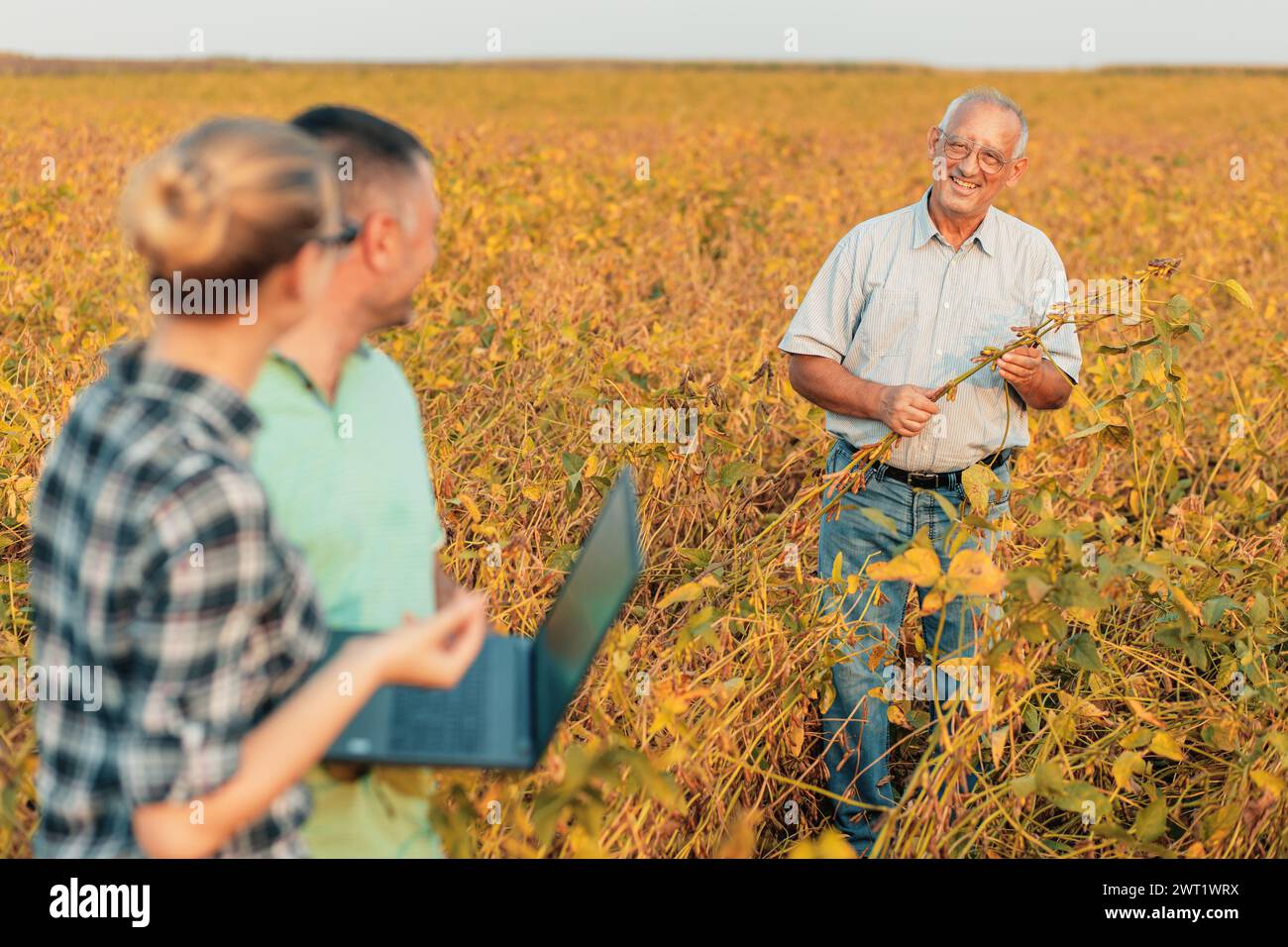 Group of farmers with laptop standing in a field examining soybean crop ...