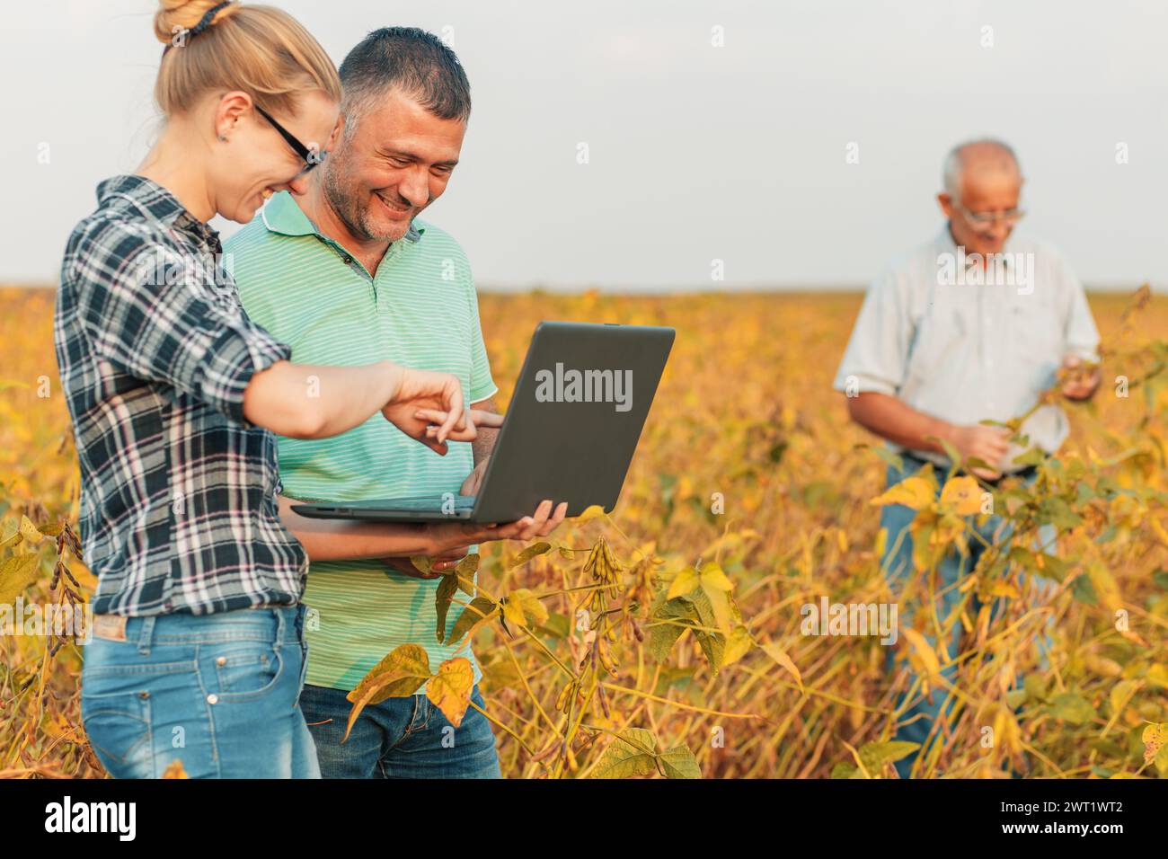 Group of farmers with laptop standing in a field examining soybean crop ...