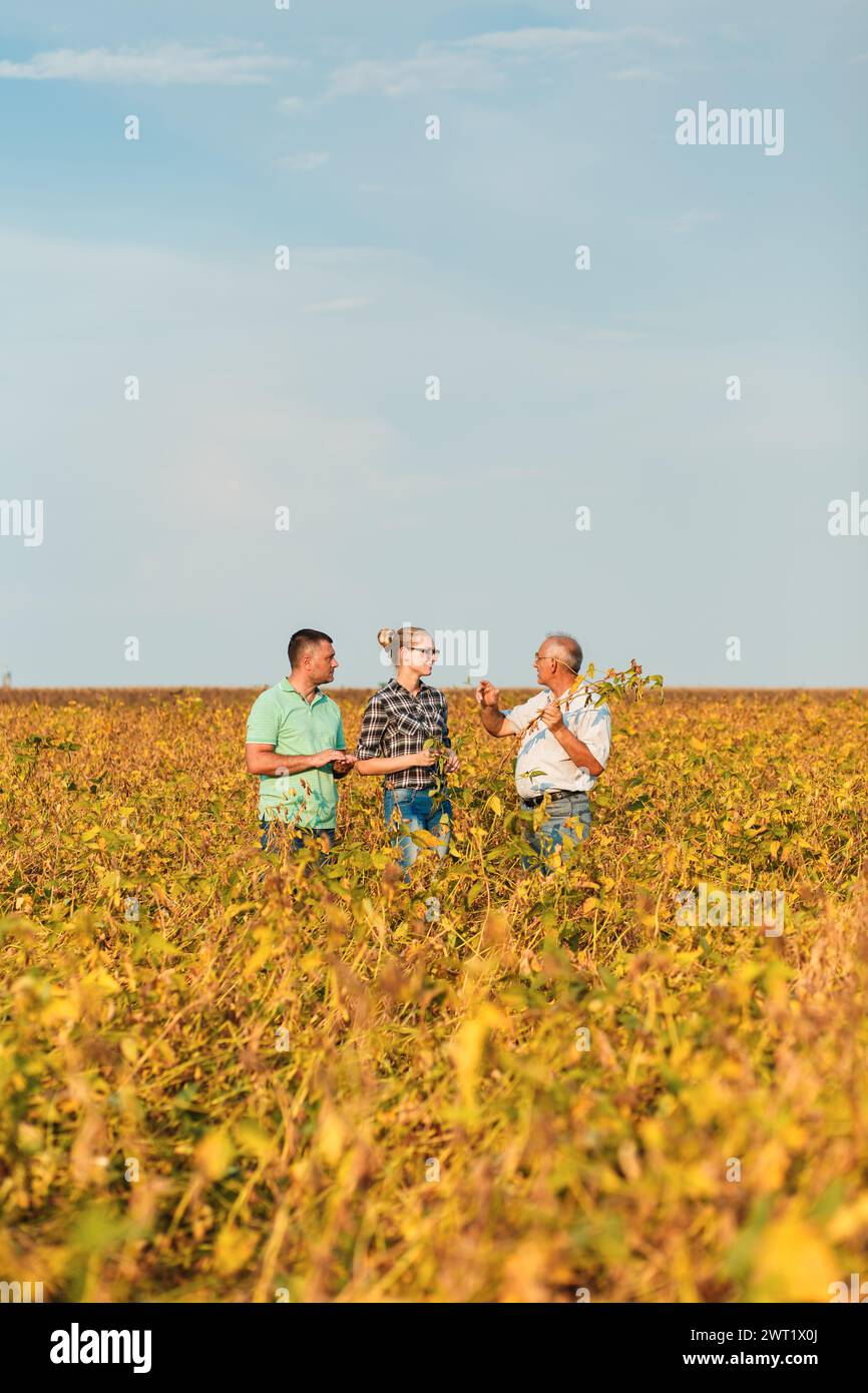 Group of farmers standing in a field examining soybean crop before ...