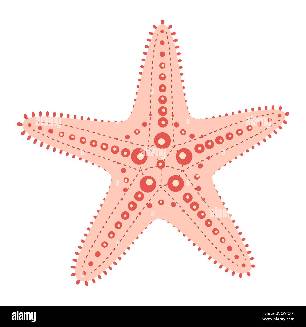Starfish flat style. Cute Pink Starfish horned sea star or chocolate chip sea star. Sea animal cartoon. Echinoderm. Underwater Marine icon Isolated on white background. Summer vector illustration Stock Vector