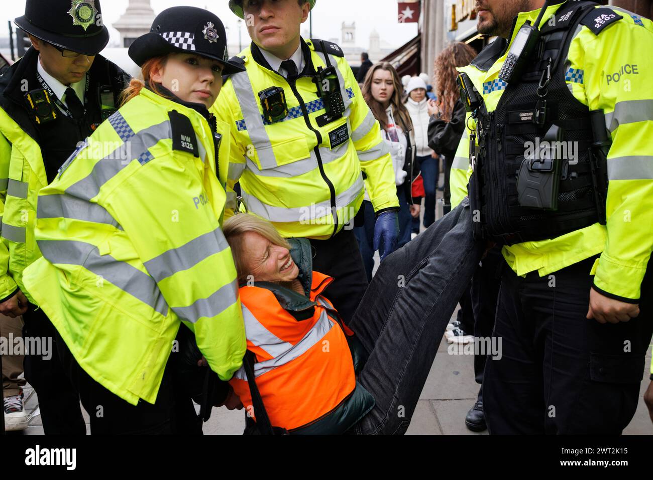 23rd Nov. 2023. Whitehall, London, UK. Arrests of Just Stop Oil protesters. The protestors were carried off the road within one minute of stepping off the pavement. Stock Photo