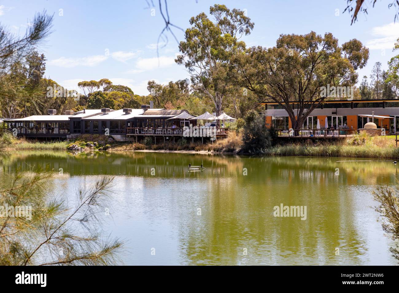 Maggie Beer farm shop in Nuriootpa, Barossa Valley,South Australia, fresh produce shop, cafe, eatery and cooking school, tourist attraction, Australia Stock Photo