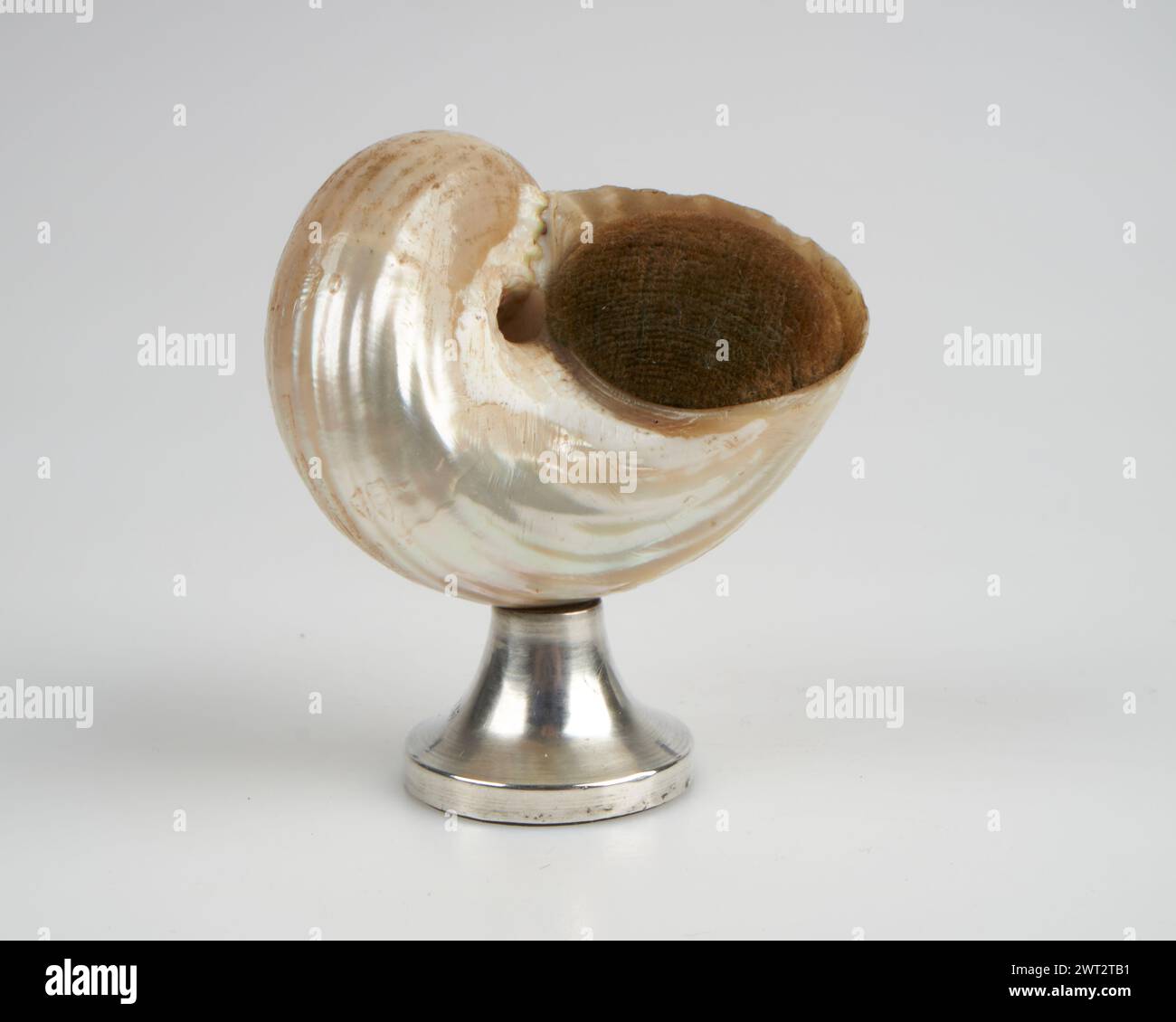 Antique 1900s silver and shell pin cushion hires stock photography and