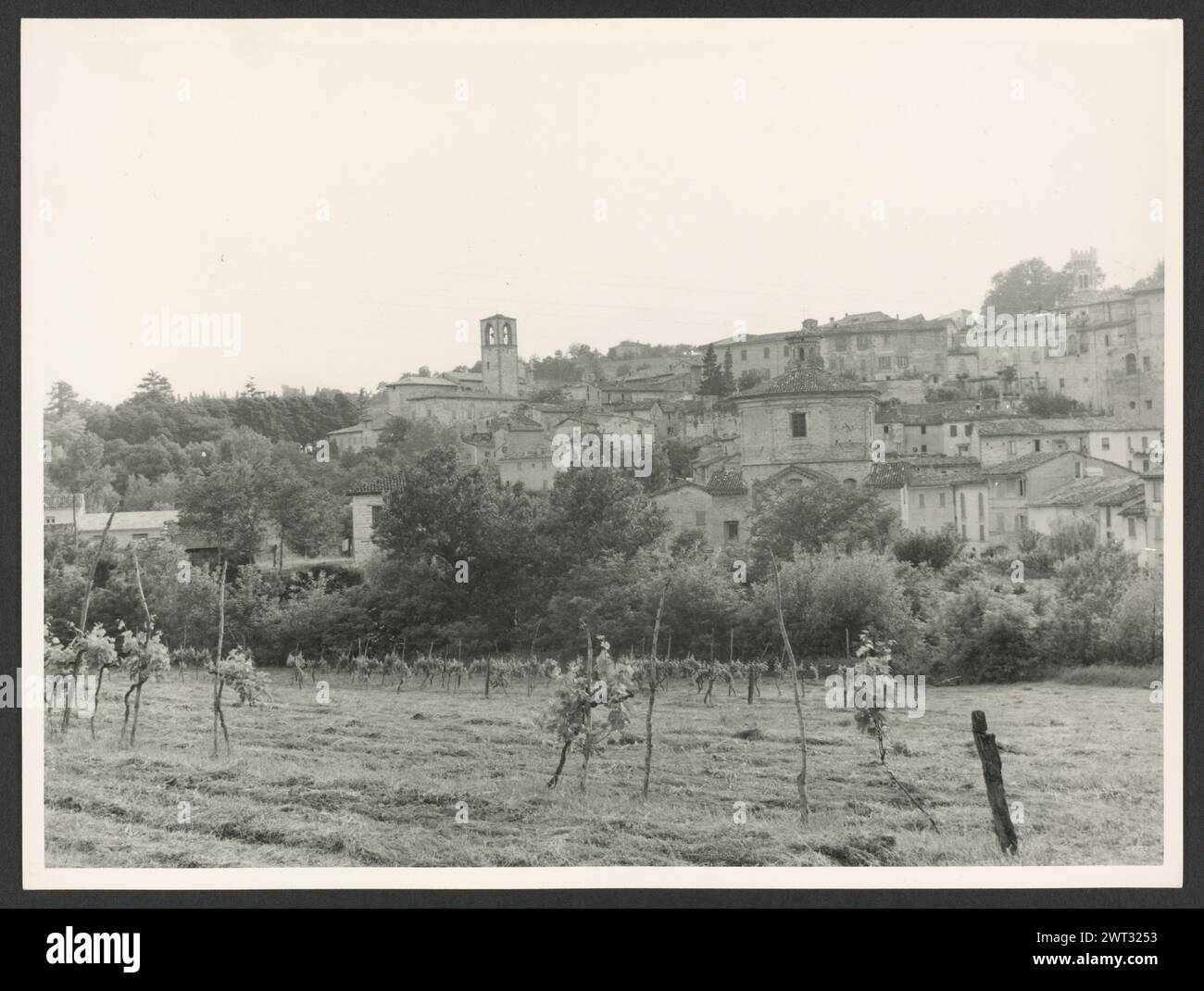 465021_5