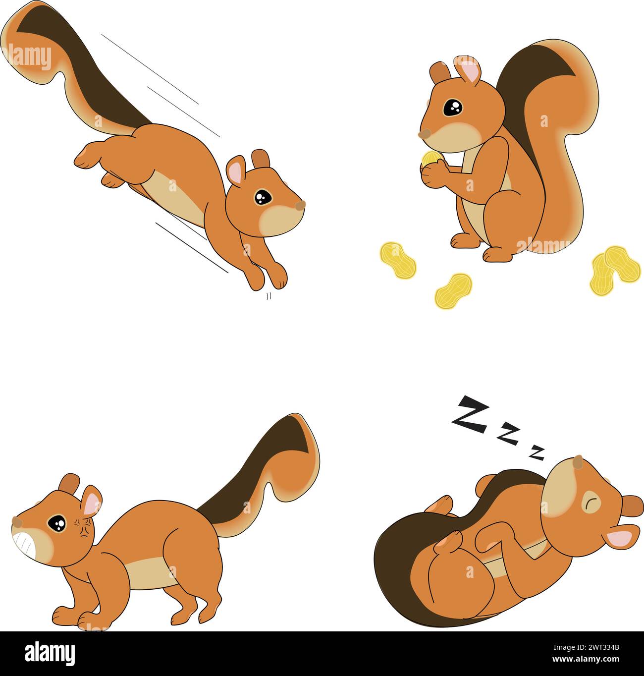 Cute squirrel eating Stock Vector Images - Alamy, image size:1300x1364